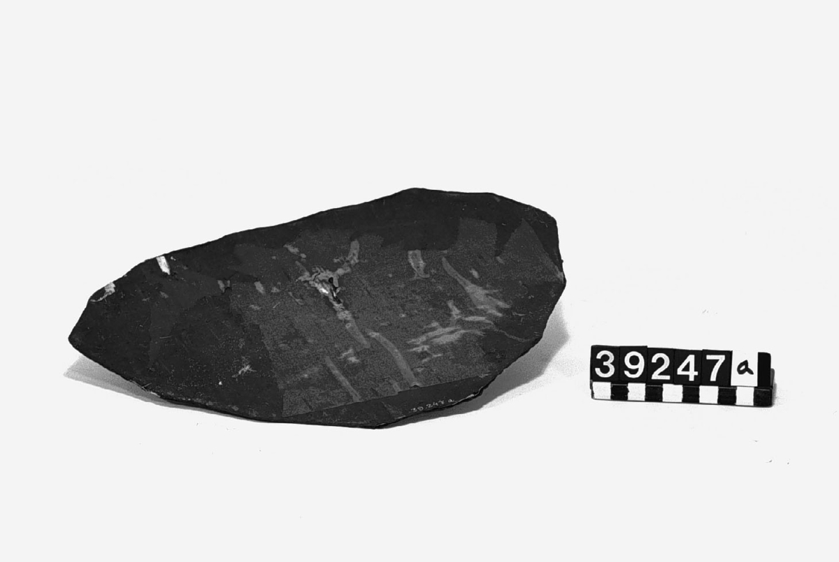 I skala. Ovala fenor av aluminumplåt, på bägge sidor täckt av bomullsväv medsammansyning i kanterna. Sammanlagt 4 fenor med nr. 39.247: a-d. Två av fenorna har märkning nr 2 och 3 och är av obehandlad väv. De två andra är överdragna med brun lack av okänt slag. Troligen Nybergs.