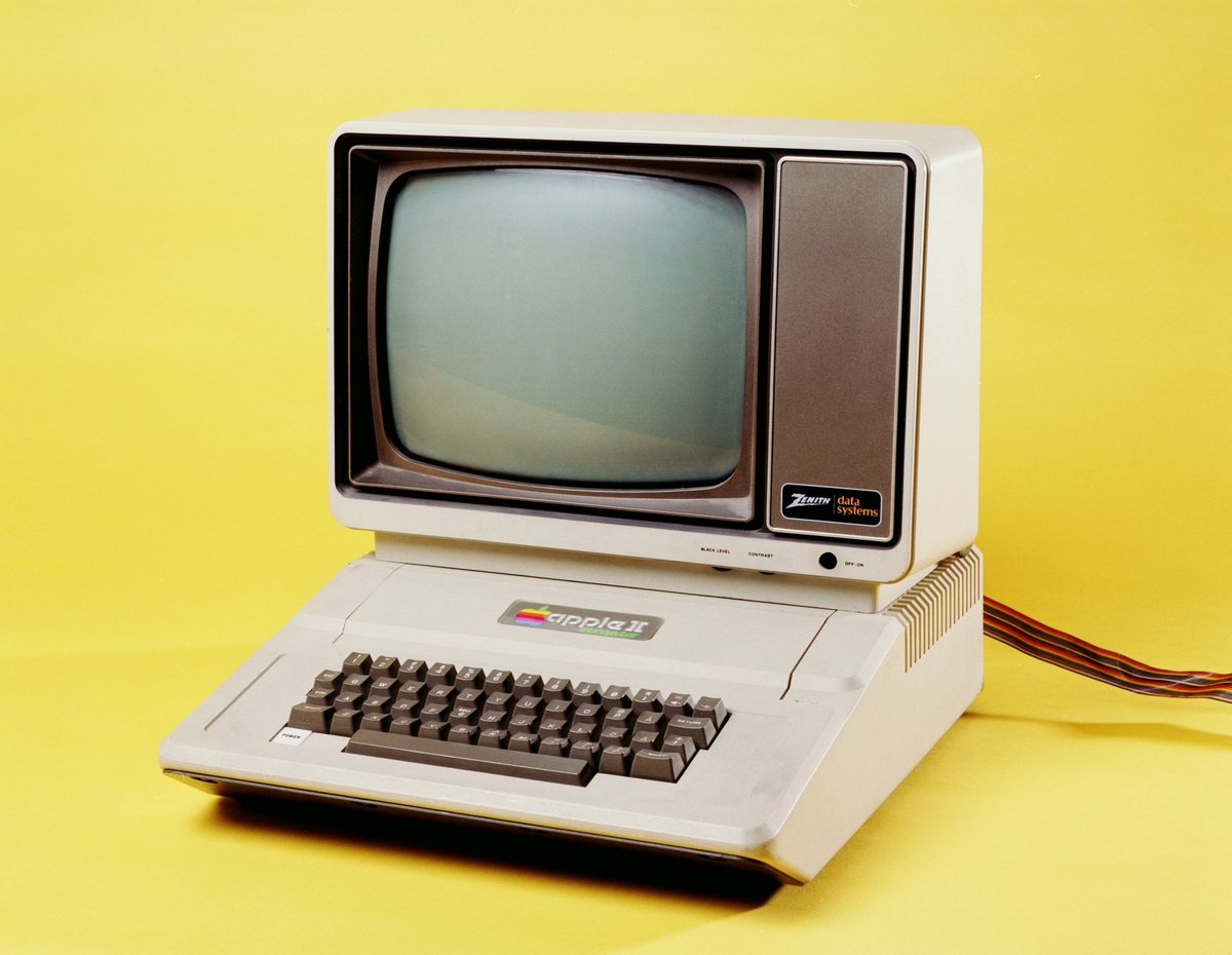När persondatorn Apple II började säljas i USA 1977 var det den första färdigmonterade datorn för hemmamarknaden. 
Apple konstruerade datorn för att det skulle vara lätt för användarna att själva utveckla program. Detta var också precis vad många användare gjorde och en del av dem insåg att de kunde sälja sina program. Det fanns en stor efterfrågan på program till Apple II och andra hemdatorer. En ny näringsverksamhet med små mjukvaruföretag i hemmen började växa fram.