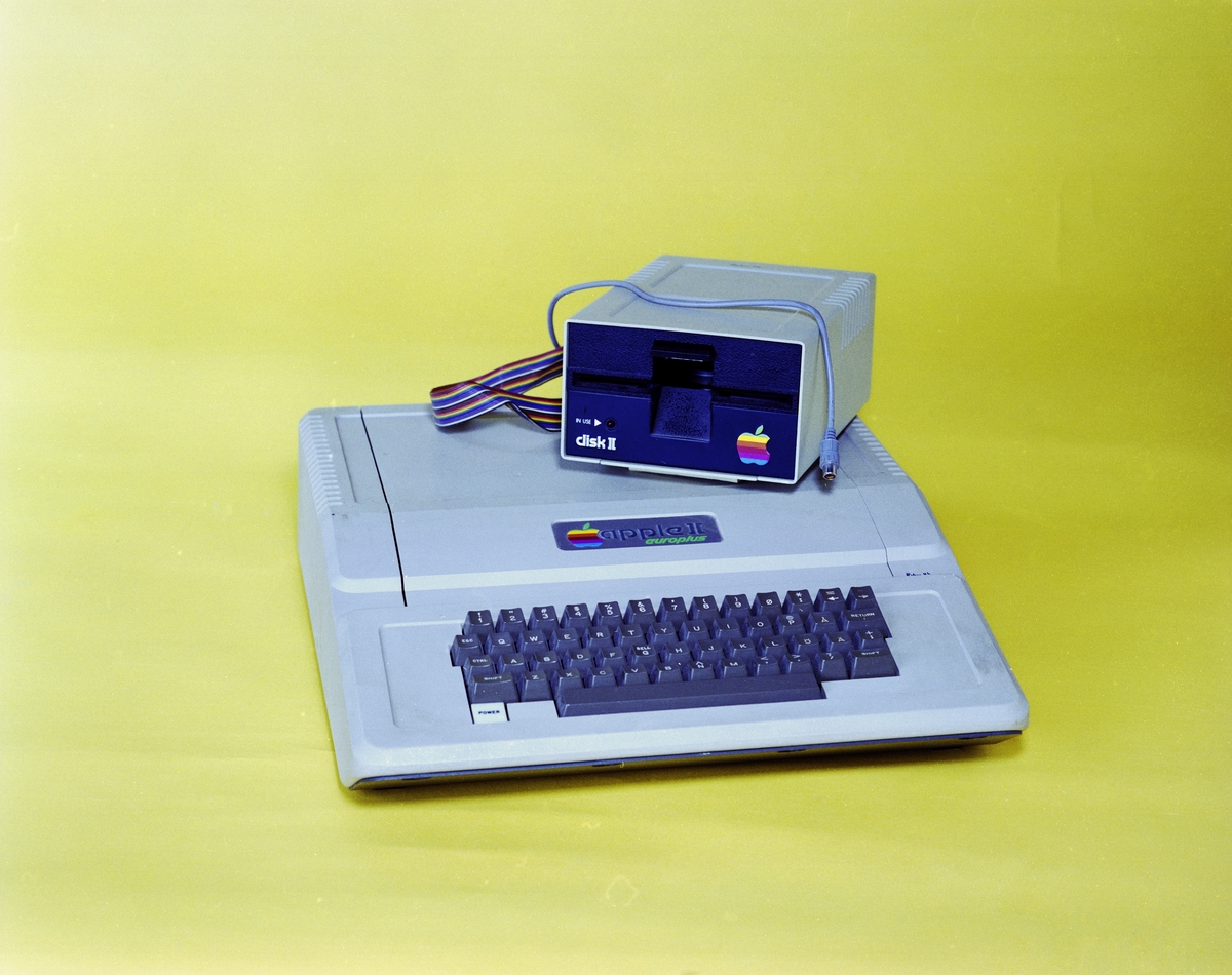 När persondatorn Apple II började säljas i USA 1977 var det den första färdigmonterade datorn för hemmamarknaden. 
Apple konstruerade datorn för att det skulle vara lätt för användarna att själva utveckla program. Detta var också precis vad många användare gjorde och en del av dem insåg att de kunde sälja sina program. Det fanns en stor efterfrågan på program till Apple II och andra hemdatorer. En ny näringsverksamhet med små mjukvaruföretag i hemmen började växa fram.