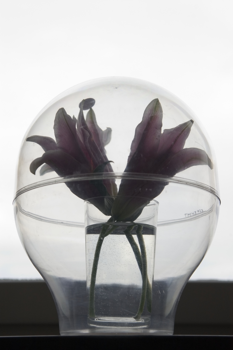 Transparant glob vars främsta användningsområde är som "allergivas". Genom att innesluta levande blommor kan de därmed avnjutas även av de där blommorna annars kan framkalla allergiska reaktioner. Alternativa användningsområden är presentförpackning för frukt och godis, miniväxthus, terrarium m.m.