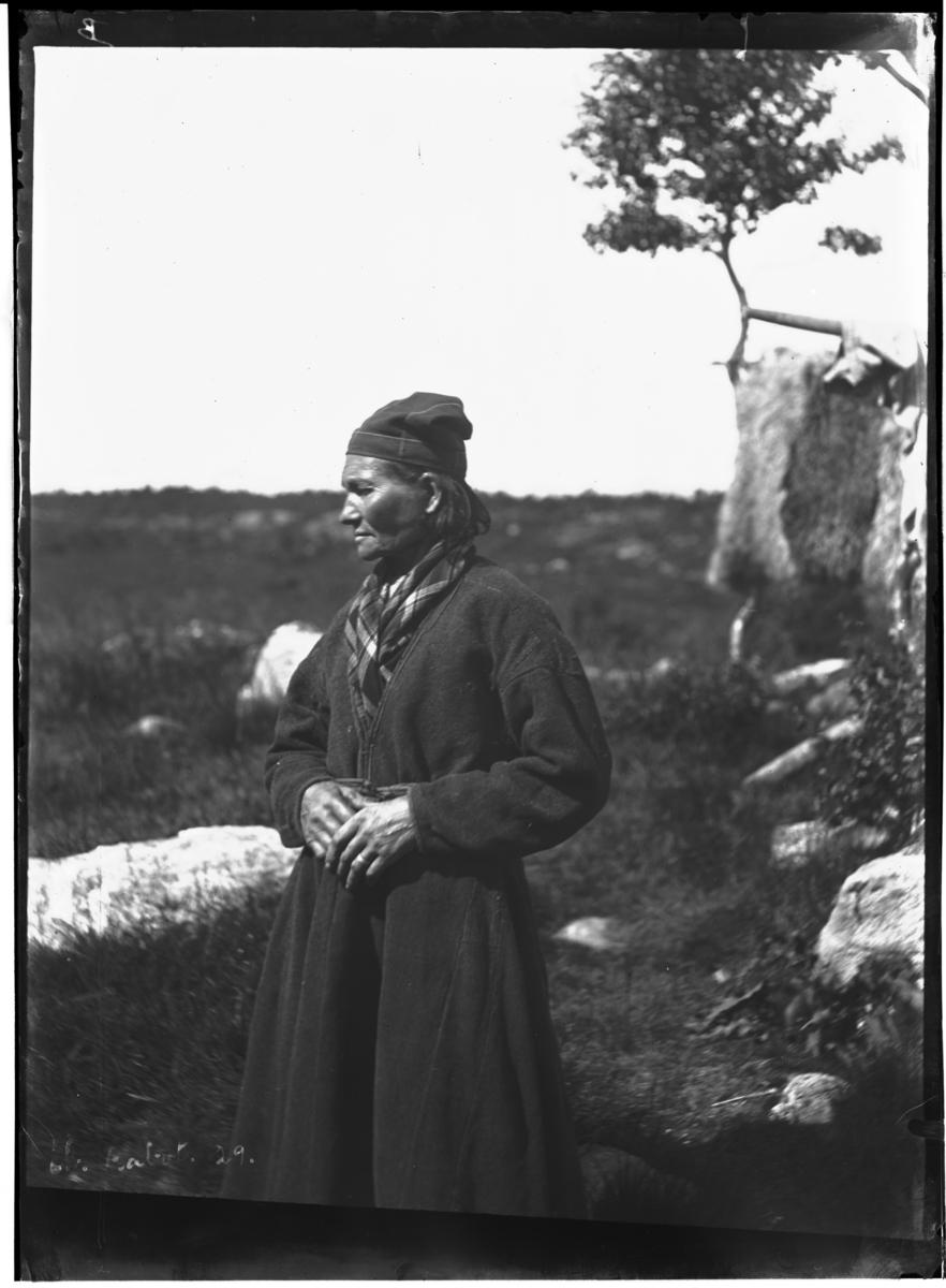 "En lappekone fra 1883 på eidet mellem Utskarpfjord (Ranen) og Sjonafjord"