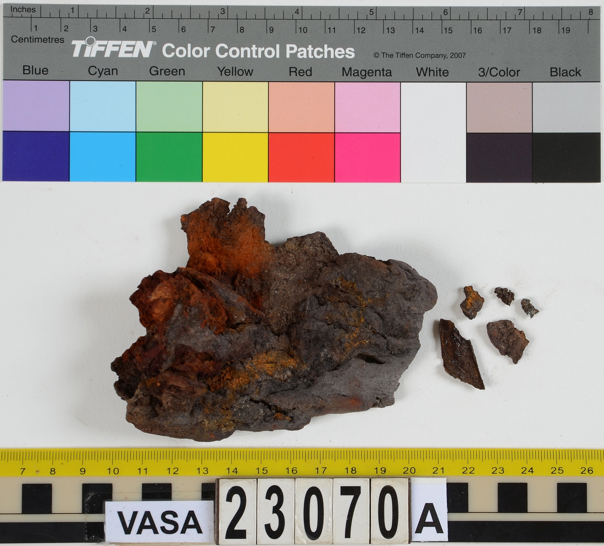 Sko.
Inuti skorna hittades även fragment från olika textilier som ursprungligen varit ett par strumpor. Idag sitter ett stickat fragment av ull fast i vänsterskon (23070) med avigsidan uppåt. I fyndet finns även en mängd lösa stickade fragment som idag är mycket korroderade och vissa helt mineraliserade av järn vilket har gjort textilen stenhård och därmed oerhört skör (23070a-c). Utifrån minskningar som några små fragment har så har det varit möjligt att rekonstruera strumpans tå. Genom att pussla ihop fragmenten som ursprungligen har suttit ihop har det på så vis gått att avgöra hur strumpans tå har varit konstruerad. Då textilen är så fragmentarisk är det inte möjligt att avgöra hur resten av strumpan har sett ut eller varit konstruerad. Däremot så finns det fragment av ett kypertvävt tyg av ull som på vissa ställen ligger dubbelt med det stickade 23070c). Ett av dessa fragment har stelnat i formen så som den suttit på fotens främre del inuti skon. Detta fragment täcker delvis det stickade tyget och har dessutom spår av kaststygn längs en kant. Så som det vävda tyget är placerat på det stickade tyget pekar på att man använt det som lagningslappar till sina stickade strumpor. 
I fyndet finns det även korroderade järnklumpar, ett tuskaftsvävt tyg av ull och rester av ett grovt bastfibergarn och två mindre läderfragment (23070d-f). Det är möjligt att även dessa har tillhört strumpan och/eller skon.

För mer detaljerad information från textildokumentationen (år 2022) se länkade filer.

Skodokumentation 2022:
Ovanläder. Tillverkad i getskinn av god kvalitet. Hör ihop med fyndnummer 23069 (Yngves skor). Tillverkades på en rak läst och bars på vänster fot. Inga dekorationer Det finns stygnhål som visar att det funnits invändiga förstärkningar (men förstärkningslappen saknas). Det finns delaminering men inga lagningar.
För mer information, se Länkade filer: Uppritning

Text in english:
This is the upper of a shoe of more “extreme fashion”, made of goatskin leather of good quality, probably made on a straight last and worn of the left foot, with no decorative features. The upper couples with 23069, together composing Yngve’s shoes. There are internal reinforcements missing from the upper and delamination, there are no repairs.
For more information, go to Länkade filer: Uppritning