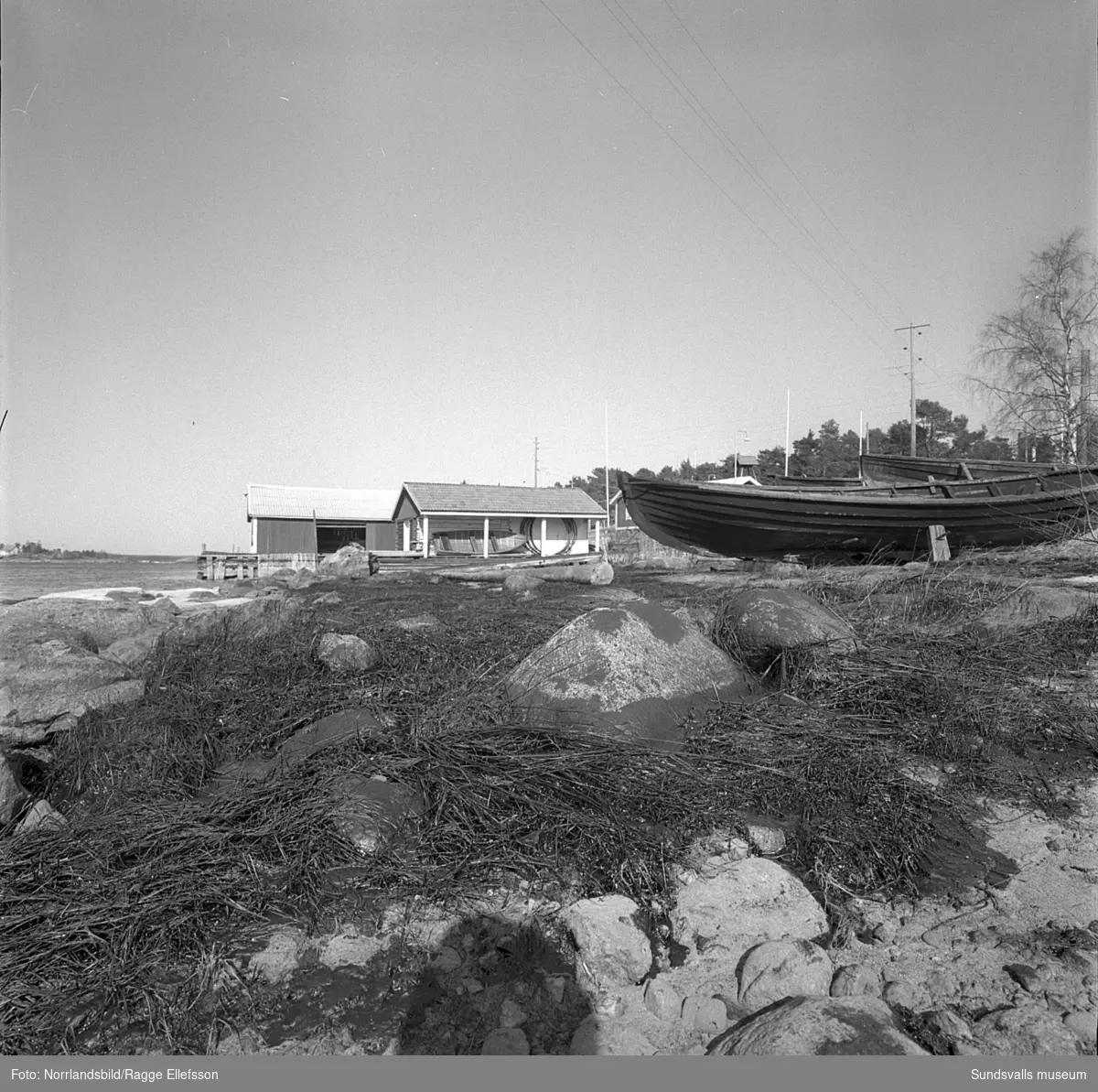 Oljeskadad kust vid Havstoviken och Spikarna på Alnö efter den norska oljetankern Gogstad som strandade och bröts sönder vid Bremö kalv den 1 december 1964.