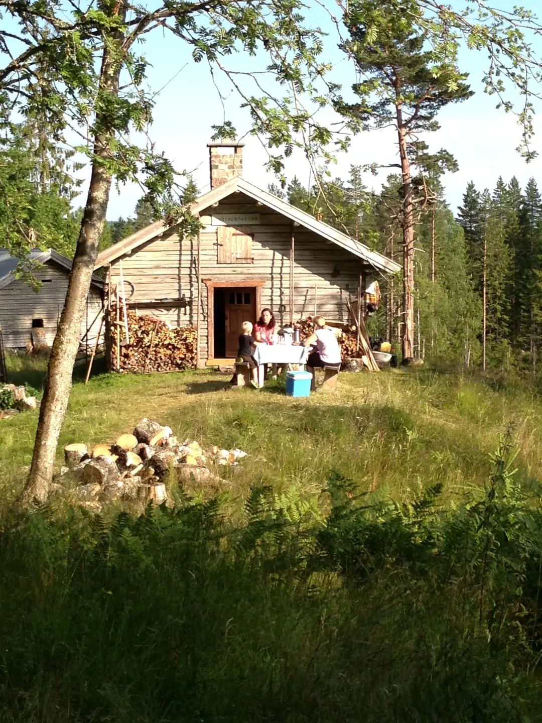 Sommeridyll i Skålbergsætra. Oversiktsbilde over Skålbergsætra.