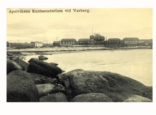 Vykort, "Apelvikens Kustsanatorium vid Varberg". Havsviken Lilla Apelviken med Kustsanatoriet Apelvikens träpaviljonger och uthus vid stranden. I förgrunden stenar. Första sanatoriebyggnaden för barn med körteltuberkulos uppfördes här 1904, men dr Almers patienter ökade så fler paviljonger fick uppföras i rask takt.