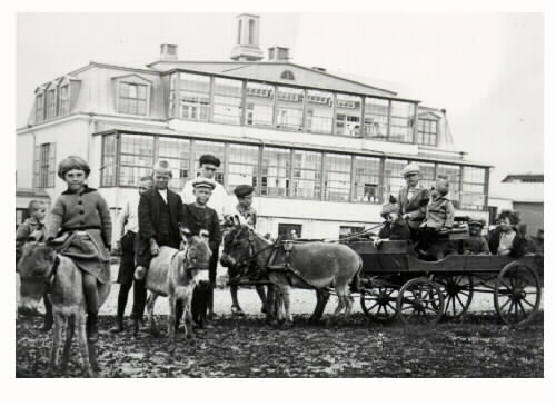 "Lek med åsnorna". Barn med tre åsnor och kärra framför avdelning 3 på Kustsanatoriet i Apelviken. Almer köpte fyra åsnor i Egypten 1927, men de hann inte komma innan Almer dog i maj samma år.