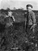 Två barn plockar morötter, Olle o Kerstin Rydje, foto: Stjärnfoto Bert Olsson.