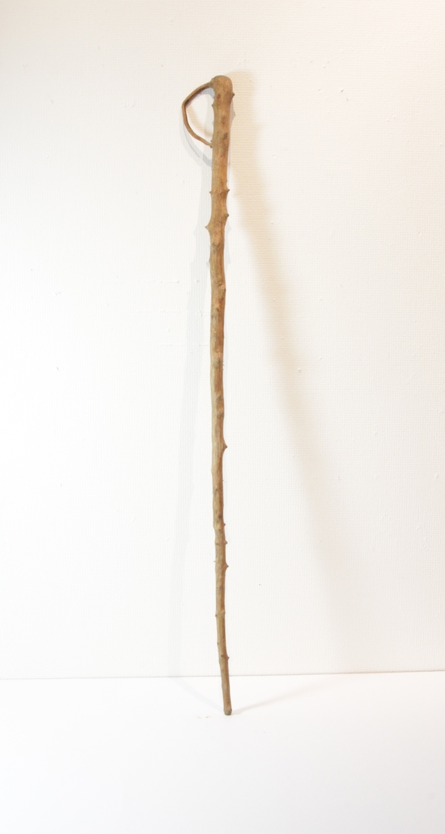 Sparserstokk som er laget av en kvist der barken er tatt av og greinene skåret av. Øverst er det dannet et lite håndtak av en grein som er bøyd til en ring og festet i et lite hull, en liten tapp av tre er presset inn og virker som en kile.