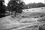 Varnhem. Kanal från medeltiden strax söder om Varnhems kloster. Foto mot norr.