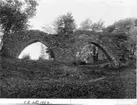 Ruinen före utgrävn.1928.
