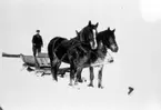 Risholmen 1939. Gustav Lindgren.