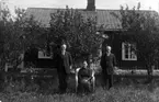 Skattegården. Adolf, Clas (halvbröder). Moder Emma (syster till Alfred Johansson, Tågården)