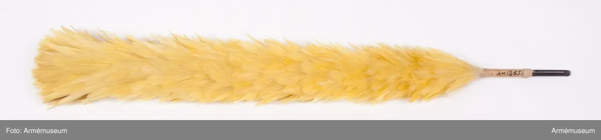 Gul, av smala fjädrar att begagnas i Södermanlands reg:s tschakåer före 1833 (?)