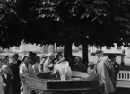 Fontänen vid Gamla Torg 23.9.1962, foto Leif Ljungberg.