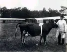 Lantbruksmötet 1910. Adj. Persson, Larv.