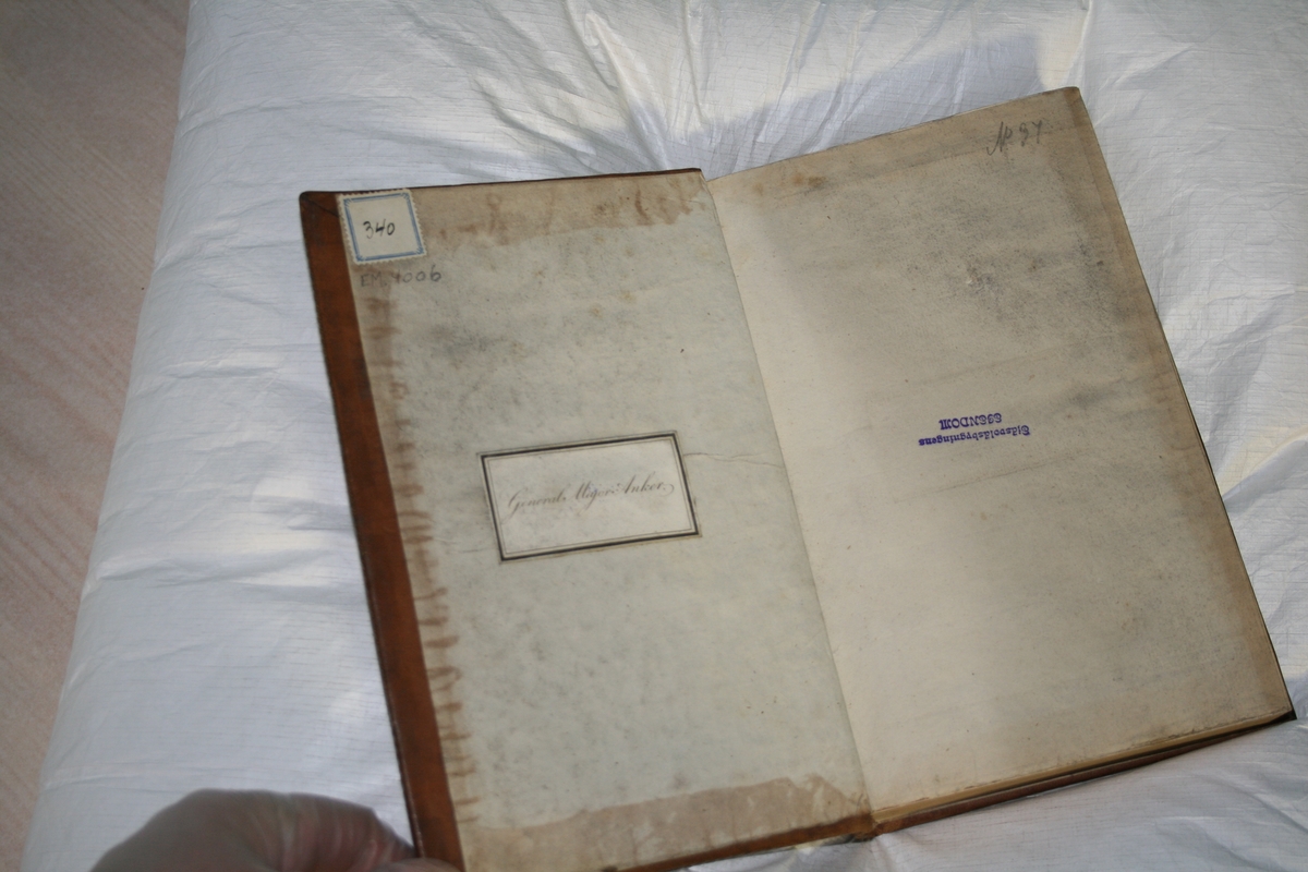 Rosetter (Gulldekor, rygg)