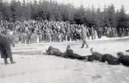 Scouternas räddningsövningar vid Skogssjön 1936.