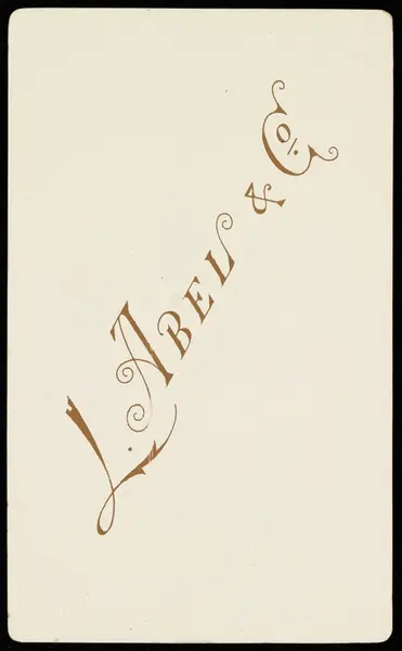 Portrett av ukjent kvinne.