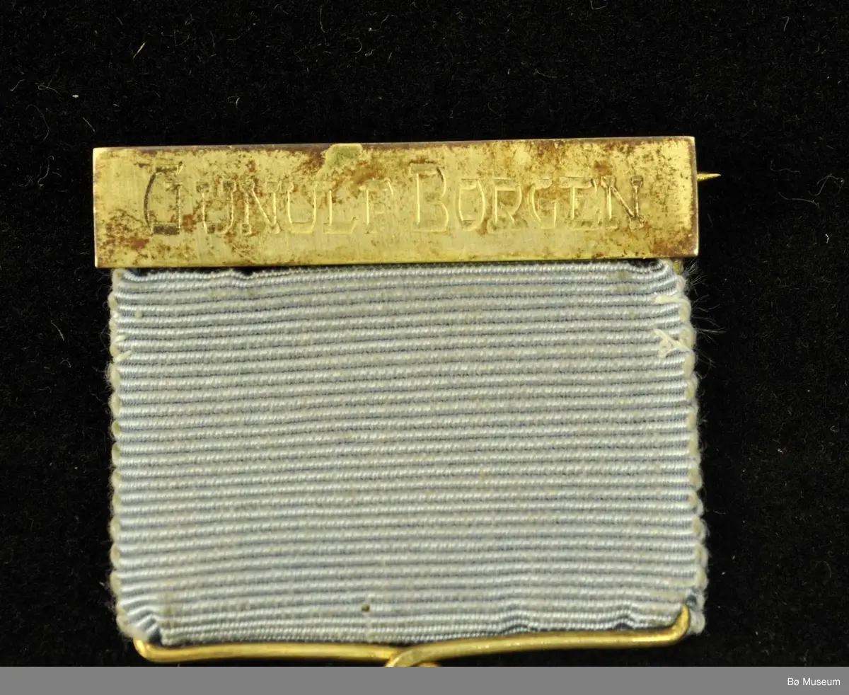Medalje med lyseblått bånd, navneplate og laurbærkrans rundt et merke med skigåer med pil og spent bue.