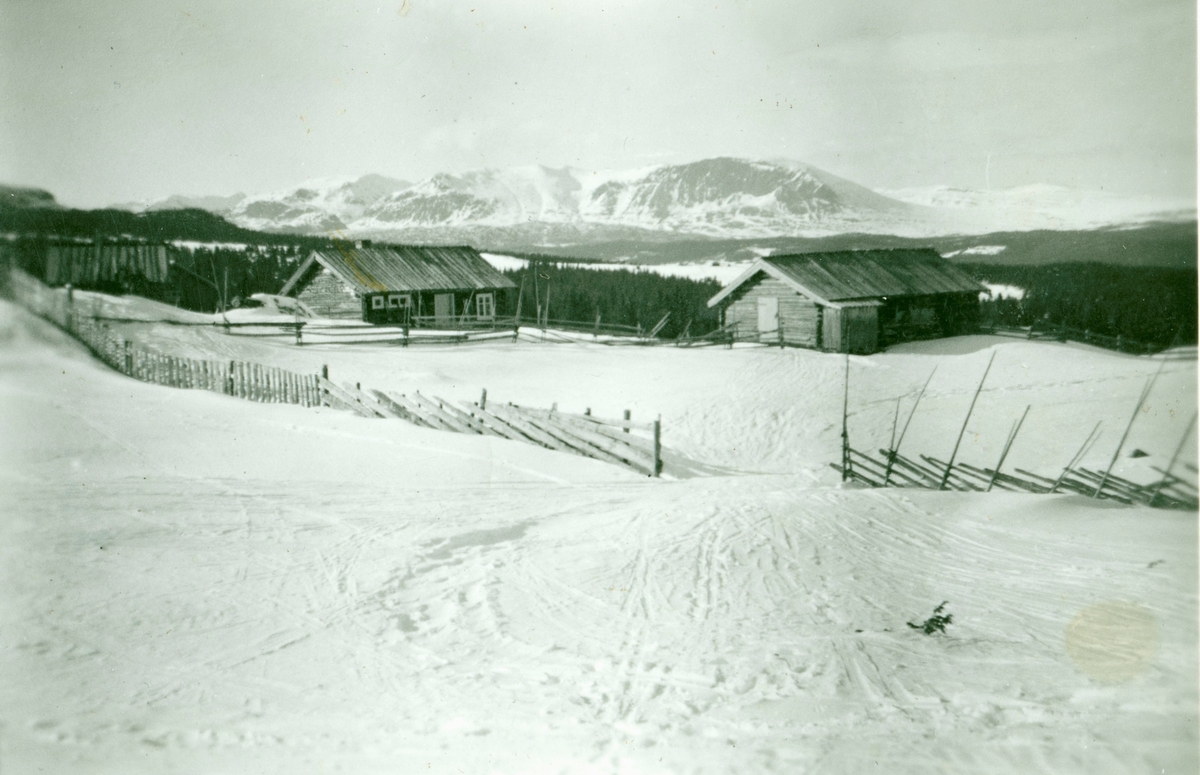 Elbjørsvollen på Smyristølen vinterstid i 1950 åra.
Skogshorn i bakgrunn.