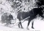 Morfar Axel har hämtat dotterdottern Margit och barnbarnsbarnen Gunnel och Birgitta vid bussen.