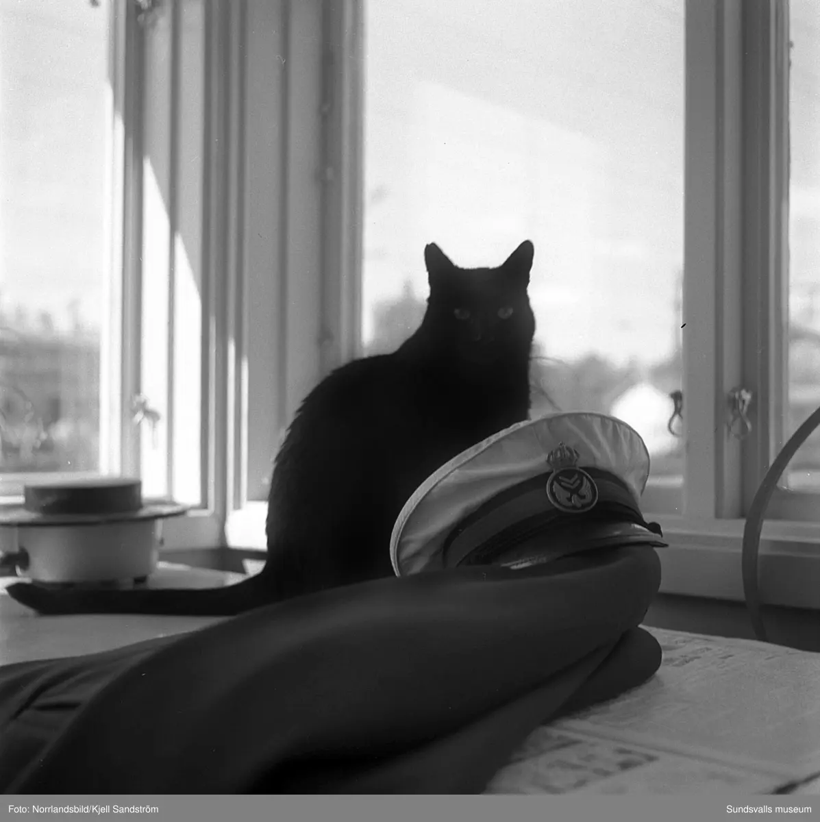Katten Englund var en välbekant syn vid Sundsvalls centralstation under några år i slutet av 1950-talet. Den stora svarta hankatten hade på eget bevåg bosatt sig där och togs väl omhand av personalen på resgodset, utspisades i järnvägsrestaurangens kök och passade noggrant 16.55-tåget då strömmingslådorna anlände. Sitt namn fick katten av resgodspersonalen på grund av att de vid den tiden hade en kollega som hette Englund men som av någon anledning begåvas med smeknamnet "Katten".
