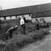 Handgrävning. Ev. början av 1950-talet. Lejons lagård - Rantens snickerifabrik.