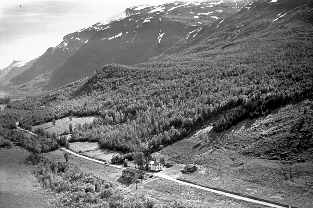 Flyfoto: Sørdalen, Nytrøen i Bardu 1959