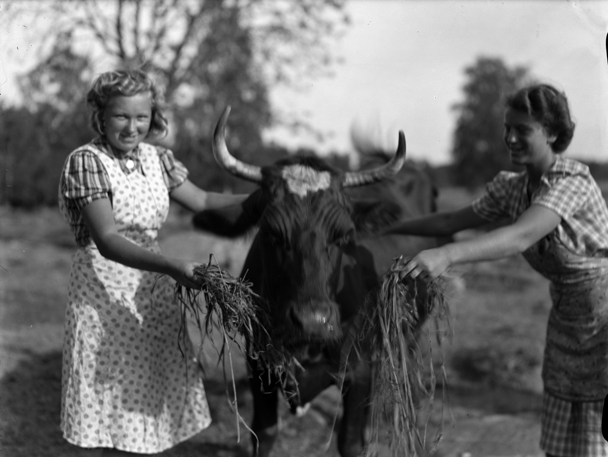 "Den svenska ungdomen är engagerad i samhällets tjänst på många sätt denna sommar" - "samhällstjänstflickor" hos fru Jansson, Sandbol, Rasbo socken