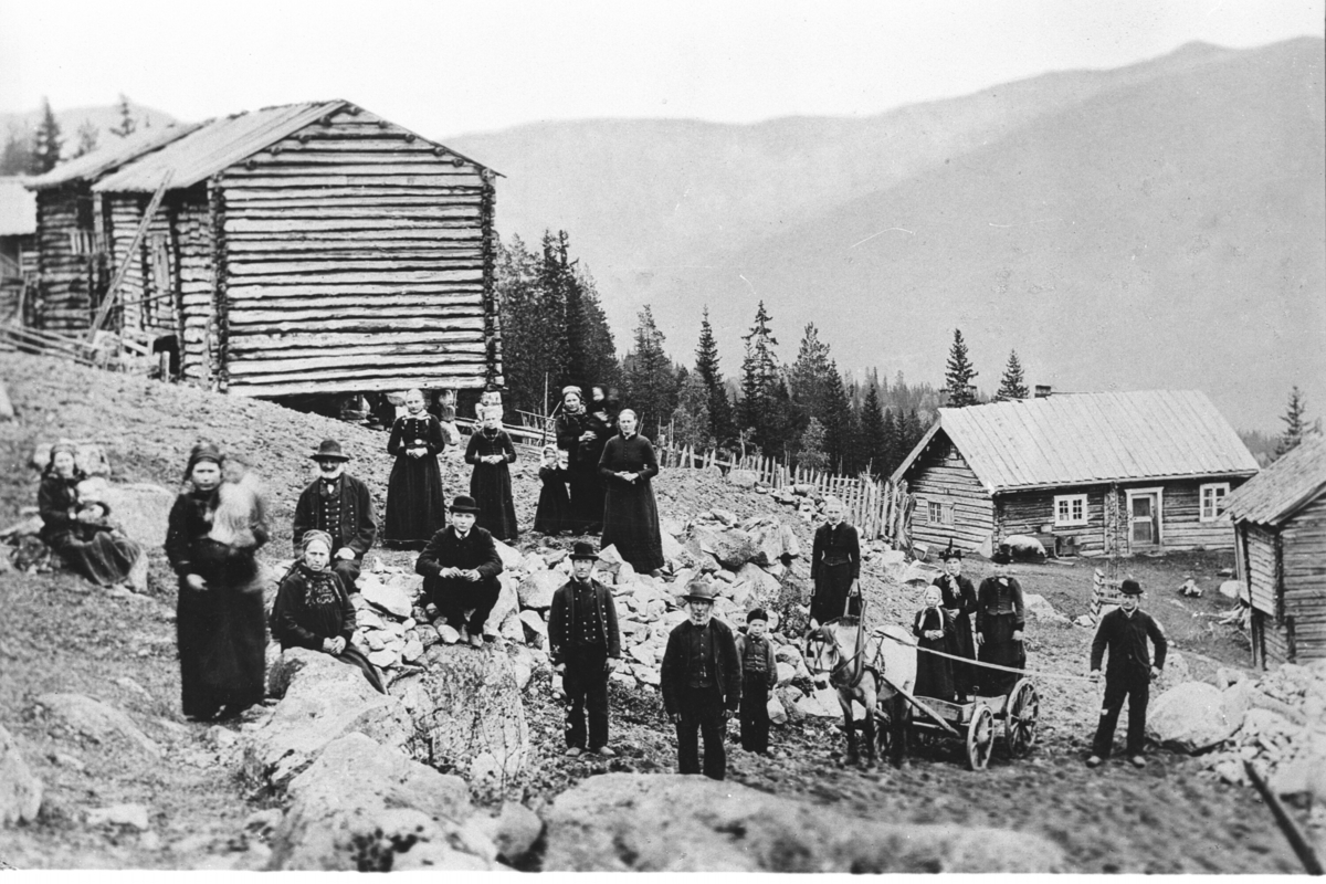 Gjerdene på Tuppeskogen.   Folk, finkle, hattar, hest og kjerre, hus, gjerde.
 Bak er frå v.Ingebjørg Løvdokken med  Olav Løvdokken på armen, Barbro Gjerdene med  Ingebjørg Gjerdene på armen,Ingebjørg Gjerdene d.e., Lars Løvdokken,Sigrid Grov,
 
  Tomas Stensgård,Barbo Lauvdokken Leknes,Guri Stensgård,Ragnhild Pålrud Stensgård med Endre Stensgård på armen og Ambjørg Lauvdokken.
Ståande foran Andres Stensgård,Bjørn Gjerdene,Ole Stensgård, Blakka",i vogna er ukjend jente,Gunhild Stensgård Golberg , Gunhild .Stensgård Nibstad og Ole Gjerdene.