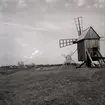 Väderkvarnar står oftast på gravfält för att gravfält är högt belägna och man får då mer vind. Kvarnen närmast fotografen är en stubbkvarn. 

Stubbkvarn (även kallad fot- eller stolpkvarn) är en äldre typ av väderkvarn, som utmärks av att hela kvarnhuset vrids kring en 