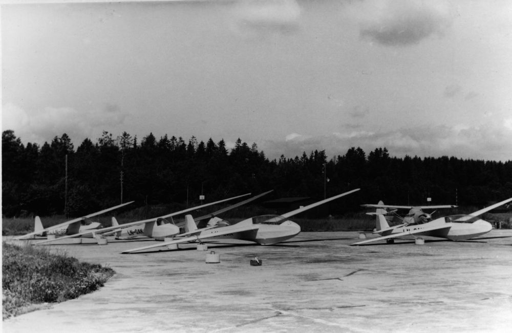 Lufthavn/Flyplass.  Flere seilfly oppstilt på rekke og rad. I bakgrunnen skogkledd mark.