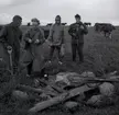 Dr. Ragnhild Boström och Ulf Erik Hagberg i Kårehamn, juli 1962.