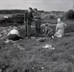 Kung Gustaf VI Adolf med Ulf Erik Hagberg och några andra som gräver vid Skedemosse.
Gustaf VI Adolf var då en ivrig och kunnig amatörarkeolog.

Kring Kristi födelse, mellan 300 f. kr. och 1000 e. kr var Skedemosse en av södra Sveriges viktigaste offerplatser. Här offrades stora mängder djur, vapen, guld och även människor - allt för att blidka eller tacka gudarna.

Det i särklass mest berömda fyndet från Skedemosse är guldringarna. Det så kallade Skedemosseguldet består av sju halsringar av rent guld med en total vikt på 1,3 kg - en ofattbar rikedom på den tiden. Guldringarna finns bevarade i Statens Historiska museum i Stockholm.