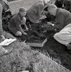 Kung Gustaf VI Adolf och kronprins Carl Gustaf vid Klinta 1957.