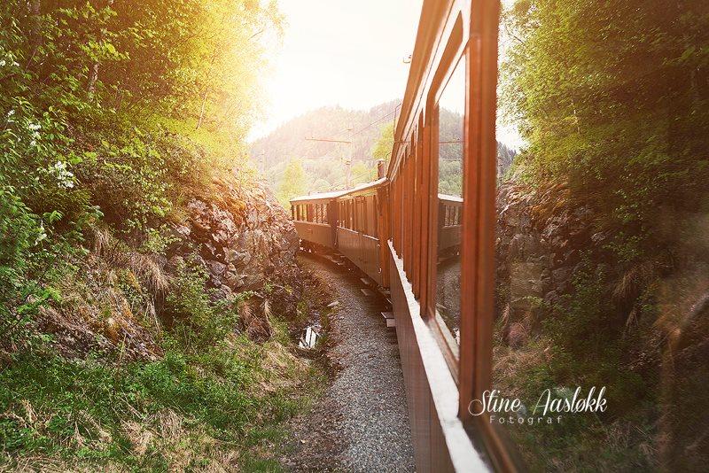 En reise med Thamshavnbanen er en reise gjennom et variert landskap. En naturopplevelse i seg selv.