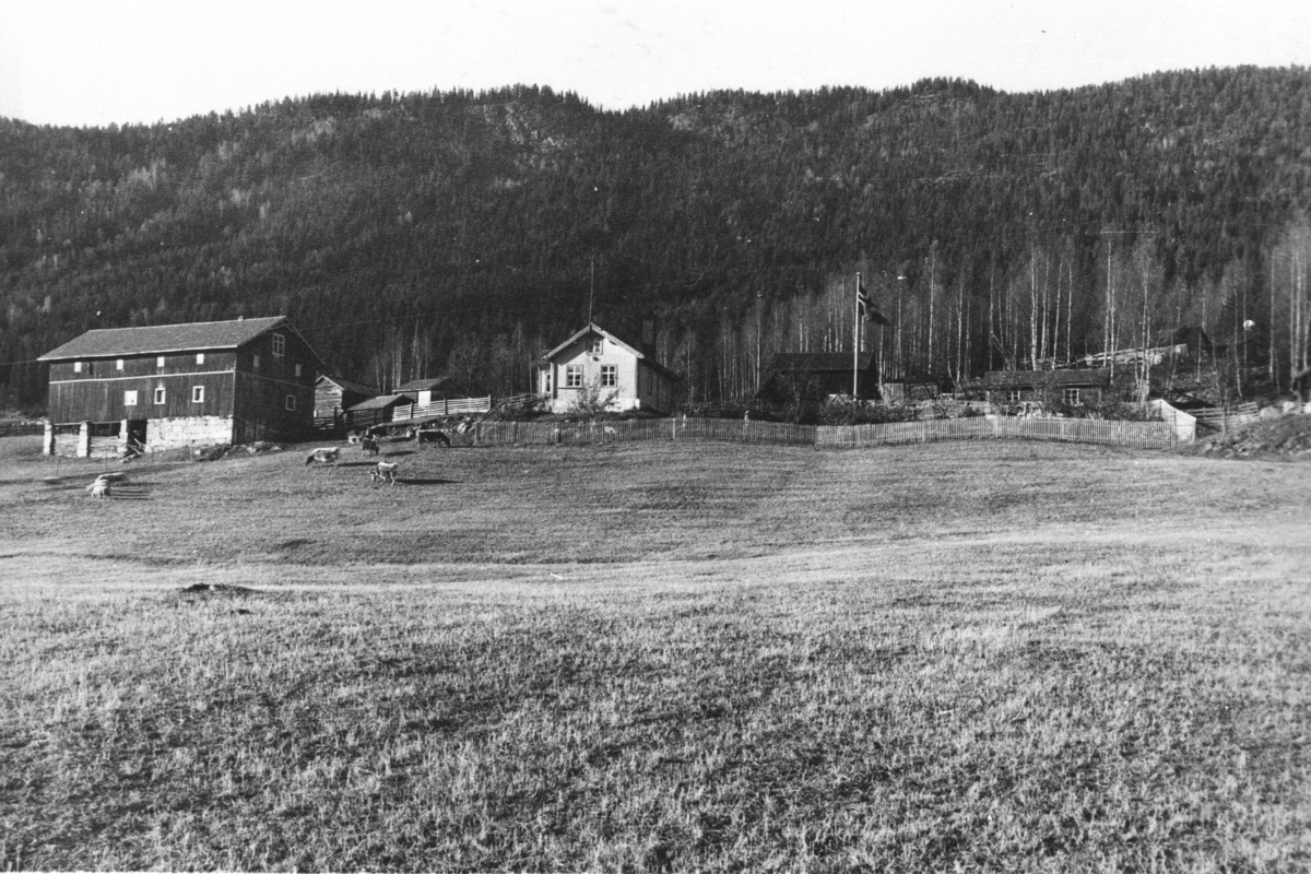 Gård,hus,låve,kyr,jorde.
Turhus teke i høve at Ola Turhus fekk Ny jords-diplom.