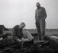 Utgrävning vid Skedemosse med Ulf Erik Hagberg och kung Gustaf VI Adolf.