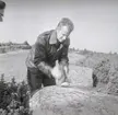 En demonstration i samband med en arkeologisk undersökning vid Nybyåsen 1/10 1958.