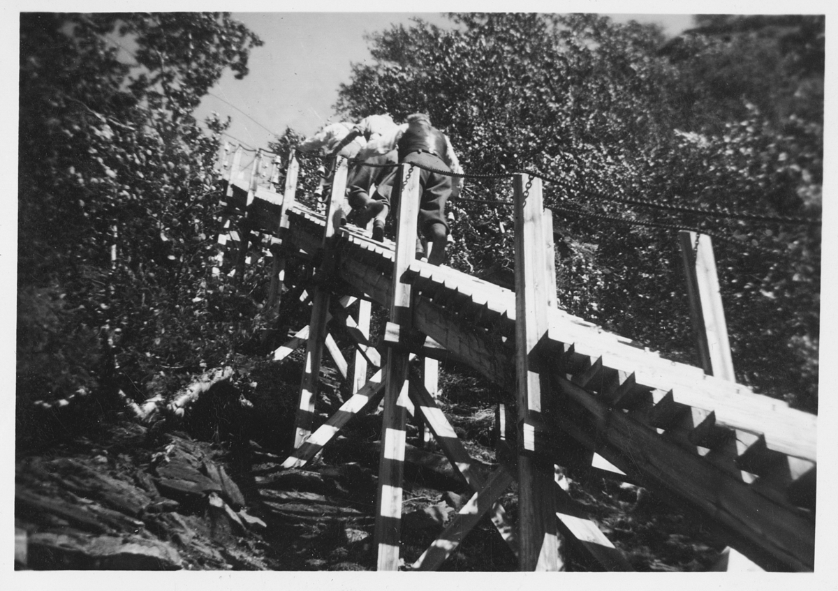 Opp trappen på 1126 trinn i Fykandalen. August 1951. Thorleif Hoffs album 1, side 33. Album fra Thorleif Hoff som dokumenterer anleggsvirksomheten i Glomfjord på 1950-tallet