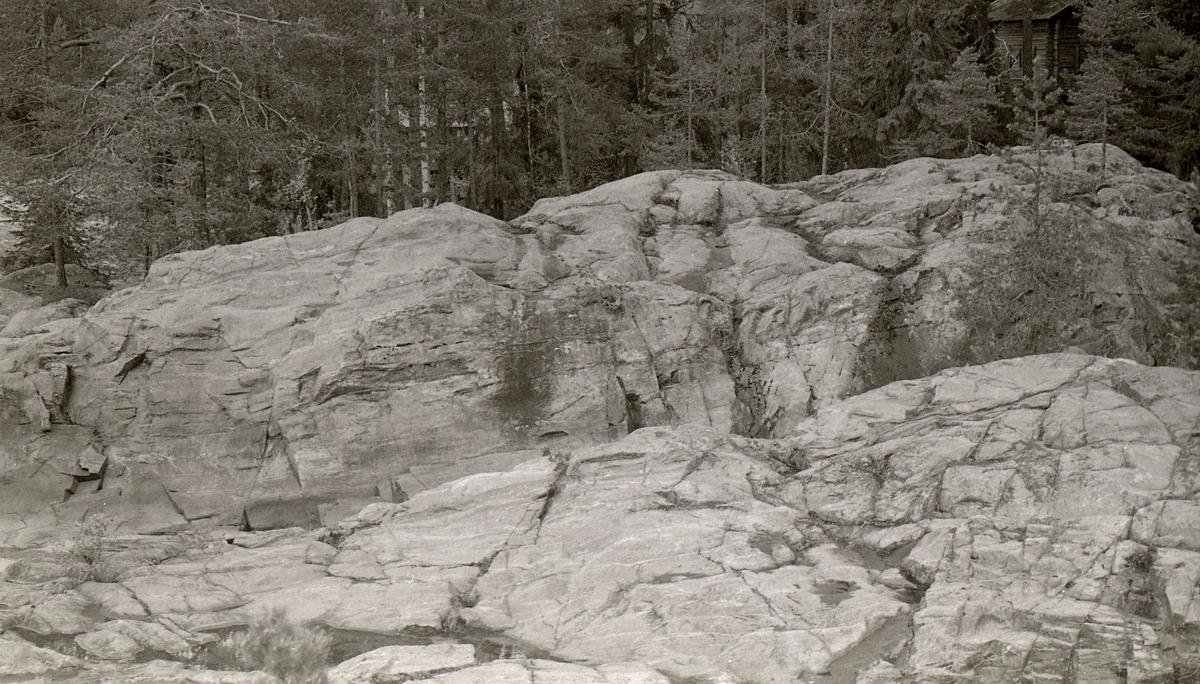 Bild från Hovåsristningen. Här finns hällristningar.

En hällristning är en samling symboler, figurer och avbildningar som är inhuggna på berghällar eller lösa klippblock under forntiden. Figurerna har som regel aldrig ristats, utan snarare knackats eller huggits in i bergytan med olika typer av knackstenar eller under järnåldern skarpa huggjärn.

Hällristningar uppträder i olika kultursammanhang över hela världen. De största koncentrationerna har återfunnits i Afrika, Skandinavien, Sibirien, Nordamerika och Australien. De äldsta funna hällristningarna finns i Afrika och har daterats till mer än 20 000 f. Kr. Av naturliga skäl finns de största hällristningslokalerna där det funnits tillgång på lättbearbetat sten som sandsten. I många fall målade man också på släta bergytor, så kallade hällmålningar. De äldsta fynden har gjorts i grottor där berget inte varit vattenförande och som skyddats från väder och vind och därför kunnat bevaras 10 000-tals år.

(Hämtat från Wikipedia)