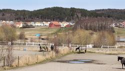 Fässbergsdalen med Balltorps hästhagar i förgrunden