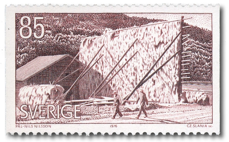 Storhässja i Översel.