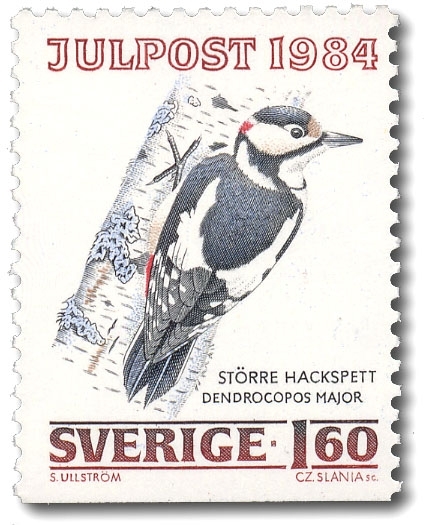 Större hackspett