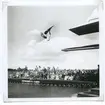 En simhoppare i aktion under SM i simning, som 1946 hölls vid Långviksbadet i Kalmar.