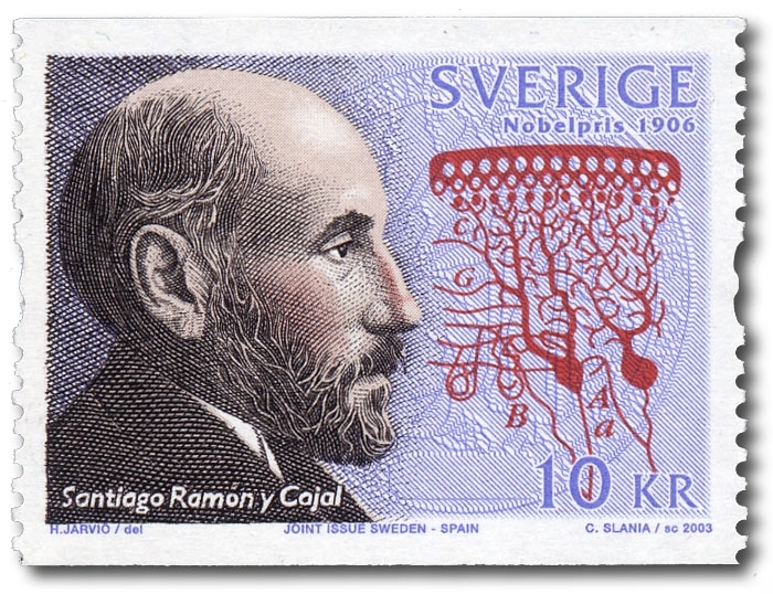 Santiago Ramón y Cajal