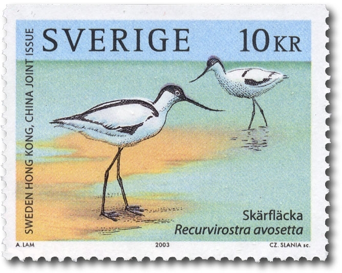 Skärfläcka