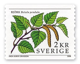 Björkhänge