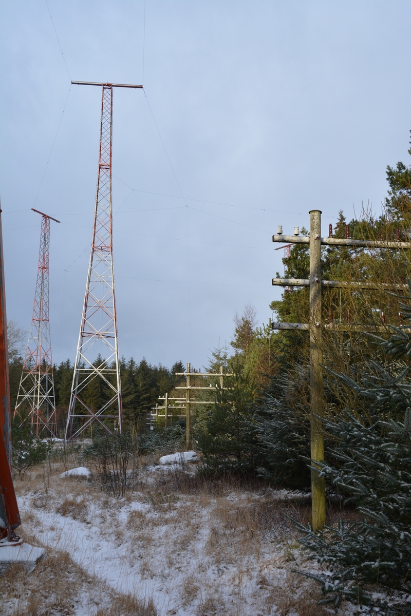 Anlegget består av 10 master ved senderstasjonen for Rogaland radio. Hver mast er ca 50 meter høy. Mastene bar retningsantenner for kortbølgesendere, dipole teppeantenner, og er plassert i et spesielt mønster for å dekke alle retninger. Trådene henger på kryss og tvers, og kan på avstand minne om nettet i et fiskegarn.