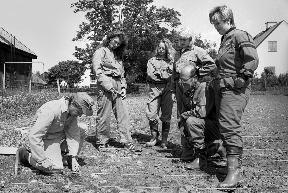 Kjell Lindström visar planteringsteknik på Jälla Lantbruksskola, Jälla, Vaksala socken, Uppland 1990